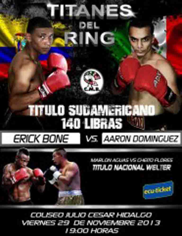titanes del ring poster-29-11-2013