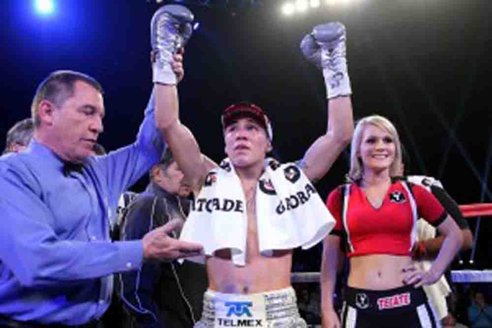 Nov. 9, 2013, Corpus Christi, Texas  ---   Featherweight sensation Oscar Valdez (pictured ) stops Jesus Lule Raya in the 5th round,Saturday, November 9.  at the American Bank Center in Corpus Christi, Texas.  --- Photo Credit : Chris Farina - Top Rank (no other credit allowed) copyright 2013