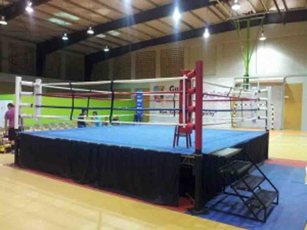 ring de boxeo hormigueros-facebook-17-11-2013