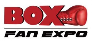 box_fan_expo