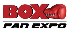 box fan expo banner