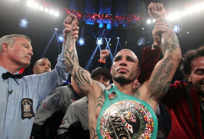 June 7, 2014, New York,NY   ---   Three-time world champion Miguel Cotto of Puerto Rico stops WBC World Middleweight champion Sergio Martinez in the 10th round,  Saturday at Madison Square Garden in New York City.   ----Photo credit : Chris Farina - Top Rank