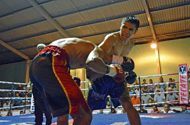 foto2-zapari boxing