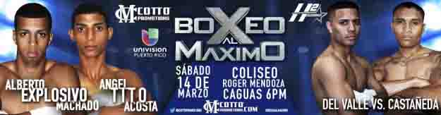 boxeo al maximo banner-marzo 14-2015