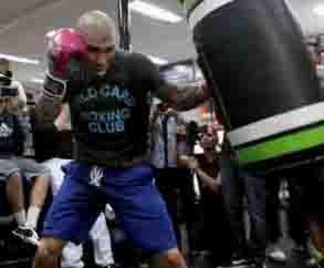 cotto-training-roach